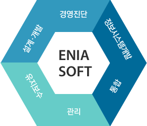 ENIASOFT-설계·개발, 경영진단, 정보시스템개발, 통합, 관리, 유지보수